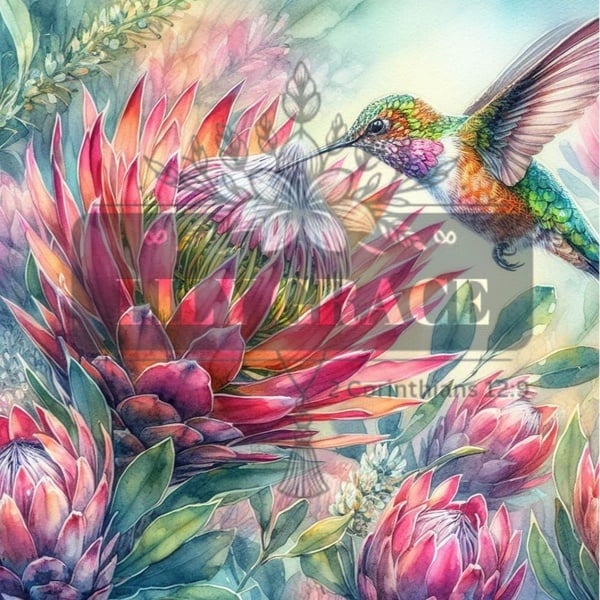 Protea splendor decoupage paper